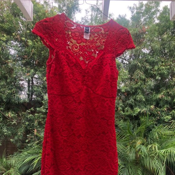 Red Lace Bodycon dress - Picture 1 of 6